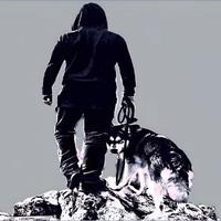 浪痞孤狼客头像