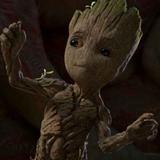Groot5头像