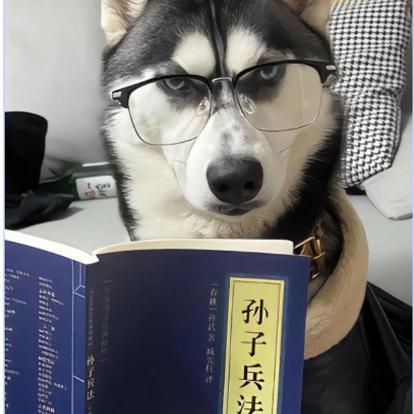 昆歌笑翻天头像