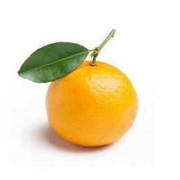 一只胖橘子头像