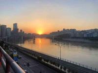 罗小罗的货运生活头像