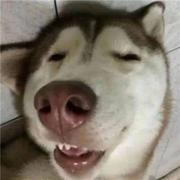 不太聪明的程序猿的个人资料头像