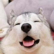 QLQ139的个人资料头像