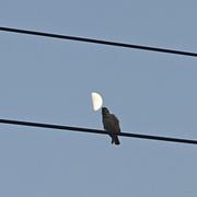 MartinBoBo的个人资料头像