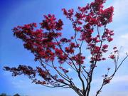 是圈圈啊的个人资料头像