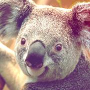 商东伟的个人资料头像