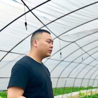 用户9542327929882头像