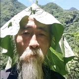 洋柿子盖饭头像