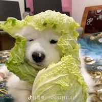 赢河淋浴隔断专业定制工厂店头像