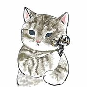 锡钟的个人资料头像