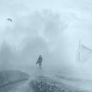 Penn的个人资料头像