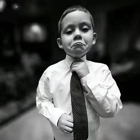 足智多谋明月二手搬运工头像