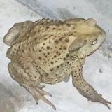 群英二手车头像