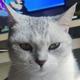 悔吥当初233 · 云朵车主·车龄1年头像