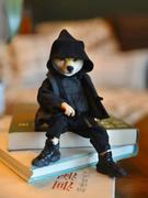 zone_SGow的个人资料头像