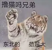 遂的个人资料头像