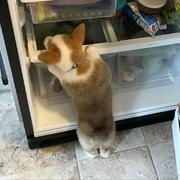 ducker10的个人资料头像