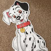 Harvey的个人资料头像