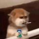 熊熙熙头像