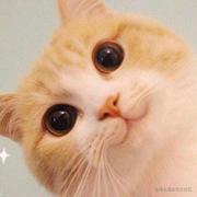 jammy的个人资料头像