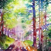 JamieJunmei的个人资料头像