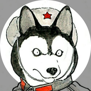 dogdog的个人资料头像