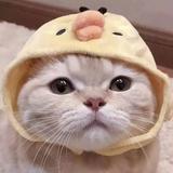 出路220头像