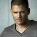 木木_木的个人资料头像