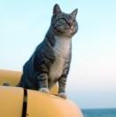 老卢的个人资料头像