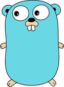 爱学习的小爽仔的个人资料头像