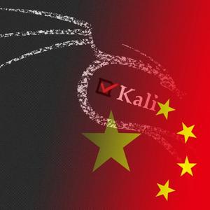 Kali与编程头像