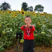 461210790的个人资料头像