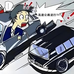 芳芳爱分享头像