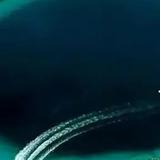 勇者面条T0头像