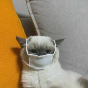 指尖上艺术的个人资料头像