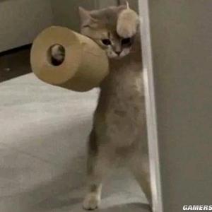 冲完睡觉头像