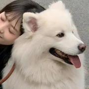 嗯哼718的个人资料头像