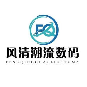 风清潮流数码CarPlay头像