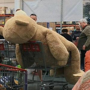 娱乐趣事有点多头像