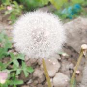 雨虫的个人资料头像