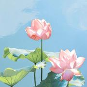 赵波比的个人资料头像