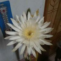 最熟悉的陌生人14335头像