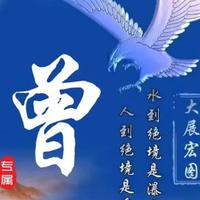 悲伤中华头像
