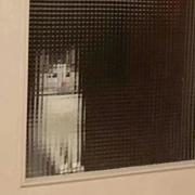 Aranna_DAism的个人资料头像