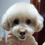 噢呀的个人资料头像