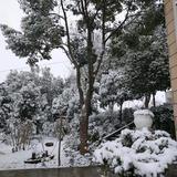 用户9095609728291头像
