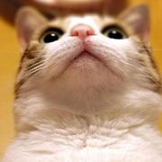 churuo的个人资料头像