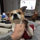 郭亮同志46896的个人资料头像