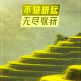 西红柿6888头像