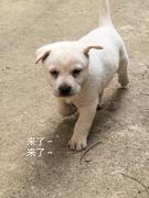 XiaoHamao的个人资料头像